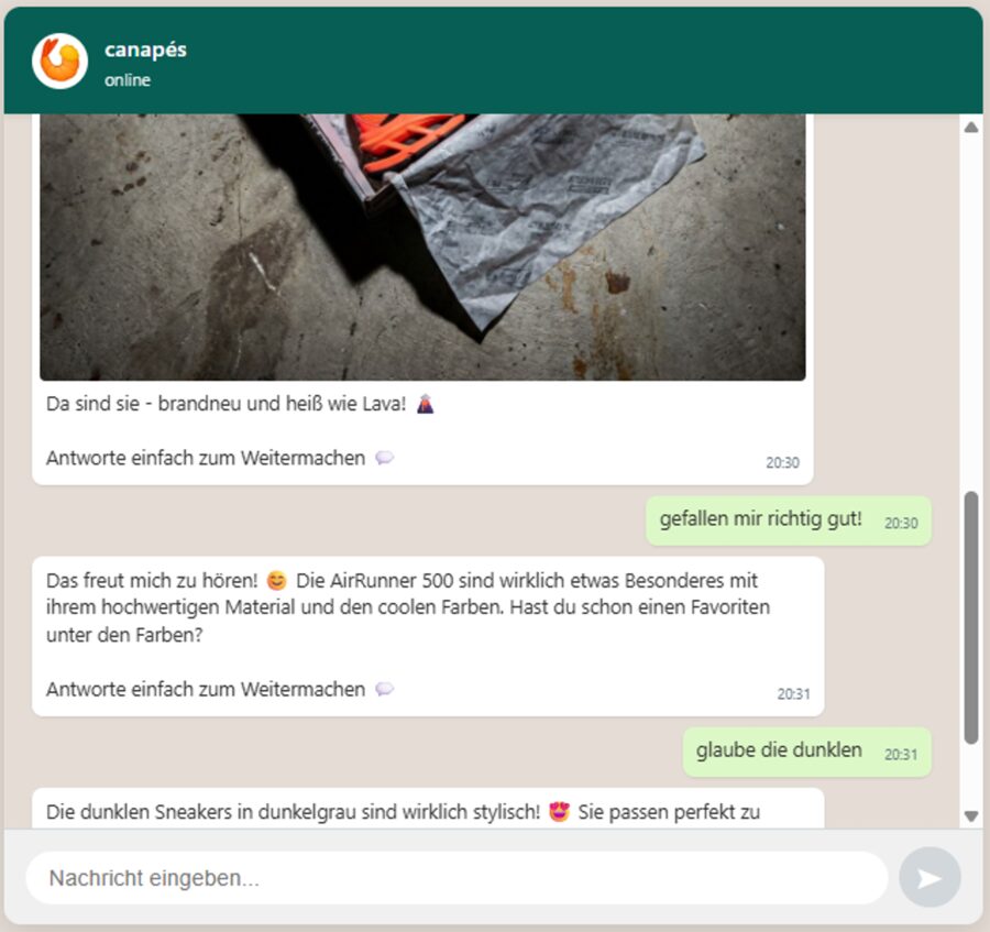 STRIDE Sneaker Feedback