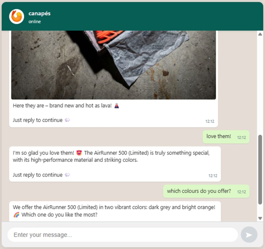 STRIDE Sneaker Feedback